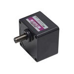 Induction Motor 60W Gear Head