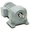 Gear Motors - Động cơ bánh răng