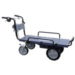 Enetora 4 Electric Eco Carrier 21 (electric transport vehicle - truck)