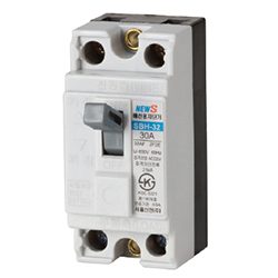 Molded Case Circuit Breaker (SK-SBH Series)