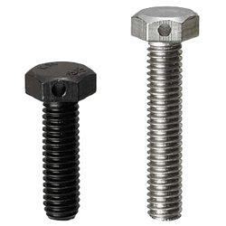 Hex Socket Head Cap Screws with Hole