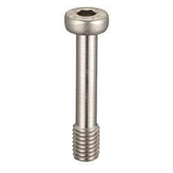Hex Socket Head Low Head Fall Prevention Screw_SSCLS