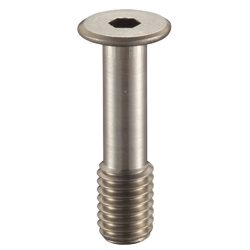 Hex Socket Head Ultra Low Head Fall Prevention Screw_SSCHS