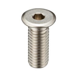 Hexagonal Socket Ultra Low Head Bolt - SSH,SSHS