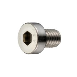Low Head Bolt with Hexagonal Socket (with Gas Ventilation Hole) - SVLS-SVLS-PC