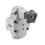 Reducing and Check Valve